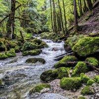 Guiers mort stage trail