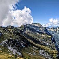 chartreuse trail